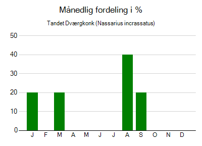 Tandet Dværgkonk - månedlig fordeling