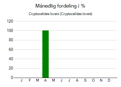 Cryptocelides loveni - månedlig fordeling