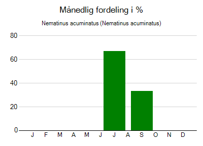 Nematinus acuminatus - månedlig fordeling