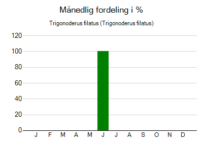 Trigonoderus filatus - månedlig fordeling