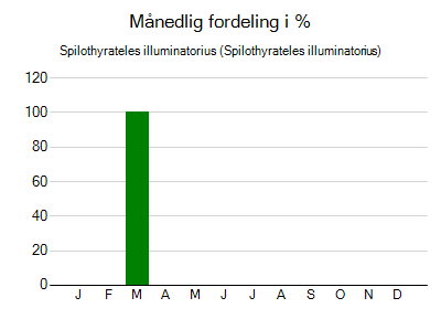 Spilothyrateles illuminatorius - månedlig fordeling