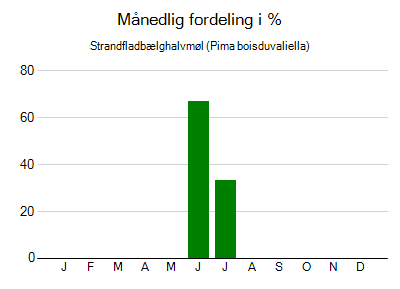 Strandfladbælghalvmøl - månedlig fordeling