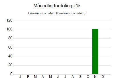 Enizemum ornatum - månedlig fordeling