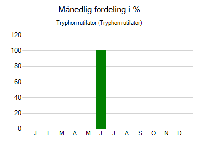 Tryphon rutilator - månedlig fordeling