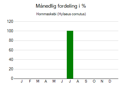 Hornmaskebi - månedlig fordeling