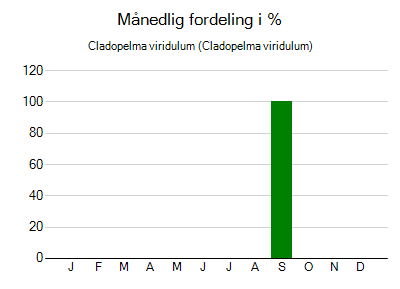 Cladopelma viridulum - månedlig fordeling