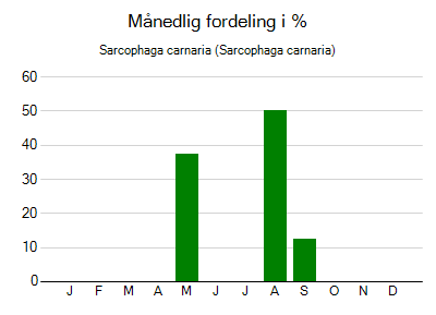 Sarcophaga carnaria - månedlig fordeling