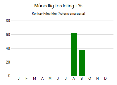 Konkav Pilevikler - månedlig fordeling