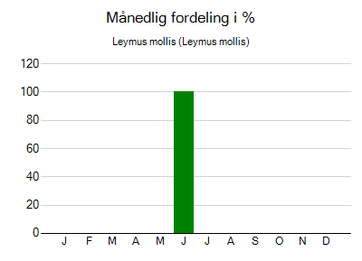 Leymus mollis - månedlig fordeling