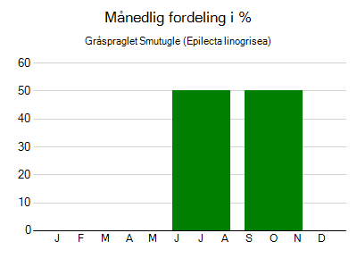 Gråspraglet Smutugle - månedlig fordeling