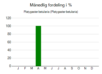 Platygaster betularia - månedlig fordeling