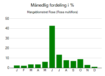 Mangeblomstret Rose - månedlig fordeling