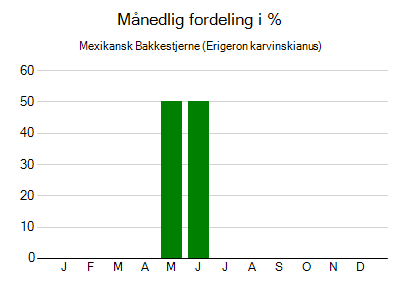 Mexikansk Bakkestjerne - månedlig fordeling