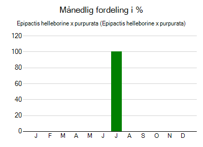 Epipactis helleborine x purpurata - månedlig fordeling