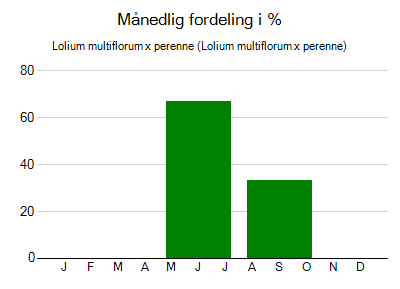 Lolium multiflorum x perenne - månedlig fordeling