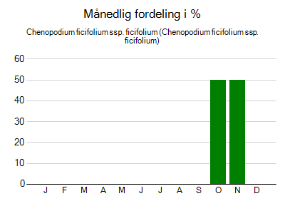 Chenopodium ficifolium ssp. ficifolium - månedlig fordeling