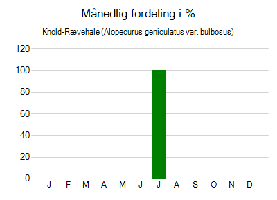 Knold-Rævehale - månedlig fordeling