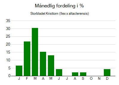Storbladet Kristtorn - månedlig fordeling