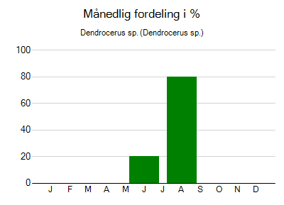 Dendrocerus sp. - månedlig fordeling