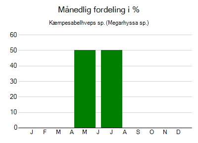 Kæmpesabelhveps sp. - månedlig fordeling