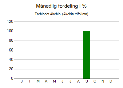 Trebladet Akebia  - månedlig fordeling