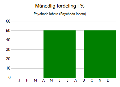 Psychoda lobata - månedlig fordeling