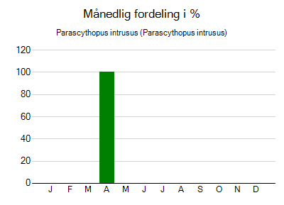 Parascythopus intrusus - månedlig fordeling