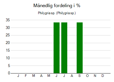 Philygria sp. - månedlig fordeling