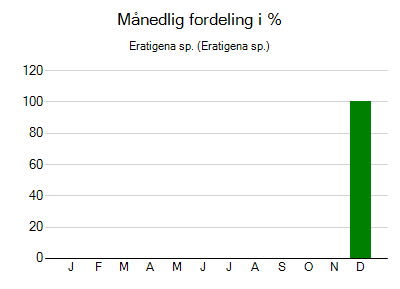 Eratigena sp. - månedlig fordeling