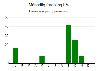 Blomkålssvamp sp. - månedlig fordeling