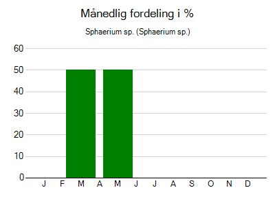 Sphaerium sp. - månedlig fordeling