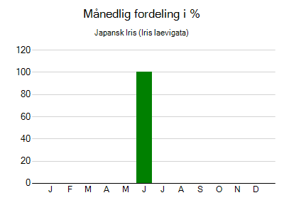 Japansk Iris - månedlig fordeling