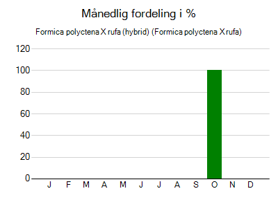 Formica polyctena X rufa (hybrid) - månedlig fordeling