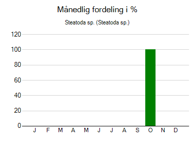 Steatoda sp. - månedlig fordeling