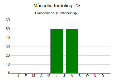 Himacerus sp. - månedlig fordeling