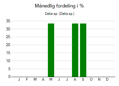 Delia sp. - månedlig fordeling