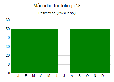 Rosetlav sp. - månedlig fordeling