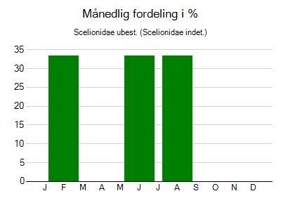 Scelionidae ubest. - månedlig fordeling