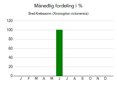 Bred Krebseorm - månedlig fordeling