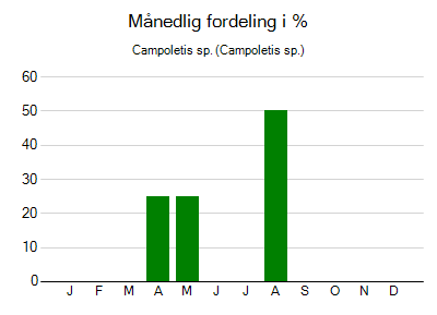 Campoletis sp. - månedlig fordeling