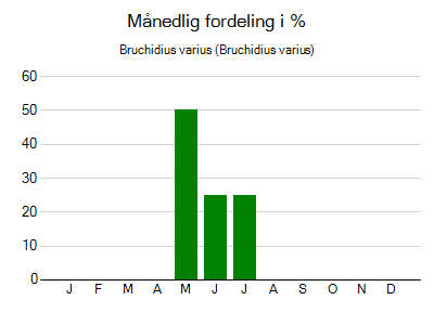 Bruchidius varius - månedlig fordeling