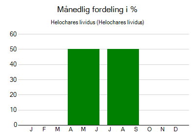 Helochares lividus - månedlig fordeling