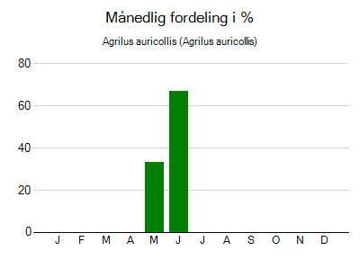 Agrilus auricollis - månedlig fordeling