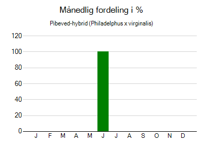 Pibeved-hybrid - månedlig fordeling