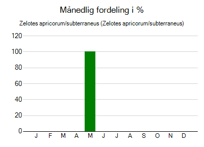 Zelotes apricorum/subterraneus - månedlig fordeling