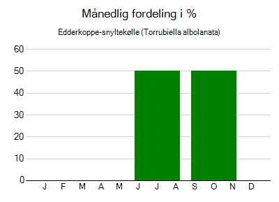 Edderkoppe-snyltekølle - månedlig fordeling