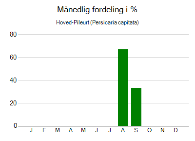 Hoved-Pileurt - månedlig fordeling