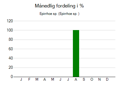 Epirrhoe sp. - månedlig fordeling