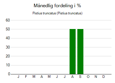 Pistius truncatus - månedlig fordeling