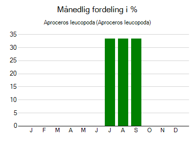 Aproceros leucopoda - månedlig fordeling